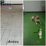 Medio Cuñete Cera Plástica ECO para Pisos Rústicos ✨🏠  ⭐⭐⭐⭐⭐